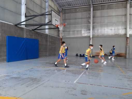CD Loyola-Preinfantil Muebles Bandama Club Baloncesto Las Palmas-13-11-2021 CD-Loyola-Preinfantil-Muebles-Bandama-Club-Baloncesto-Las-Palmas-13-11-2021-11