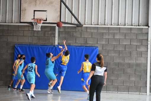 CD Loyola-Infantil Club Baloncesto Las Palmas-02-04-2022 CD-Loyola-Infantil-Club-Baloncesto-Las-Palmas-02-04-2022-15