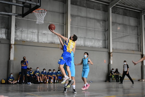 CD Loyola-Infantil Club Baloncesto Las Palmas-02-04-2022 CD-Loyola-Infantil-Club-Baloncesto-Las-Palmas-02-04-2022-8