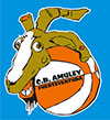 logo-CB-Amuley-100
