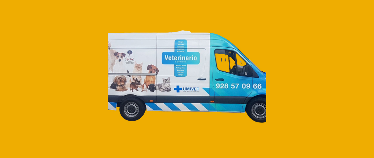 veterinario-umivet