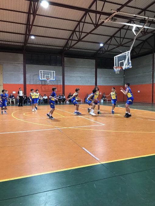 Preinfantil Schamann Club Baloncesto Las Palmas-Preinfantil Teresiano Club Baloncesto Las Palmas-19-11-2022 Preinfantil-Schamann-Club-Baloncesto-Las-Palmas-Preinfantil-Teresiano-Club-Baloncesto-Las-Palmas-19-11-2022-5