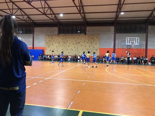 Preinfantil Schamann Club Baloncesto Las Palmas-Preinfantil Teresiano Club Baloncesto Las Palmas-19-11-2022 Preinfantil-Schamann-Club-Baloncesto-Las-Palmas-Preinfantil-Teresiano-Club-Baloncesto-Las-Palmas-19-11-2022-8