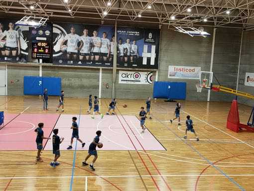 CD Heidelberg-Preinfantil Teresiano Club Baloncesto Las Palmas-14-01-2023 CD-Heidelberg-Preinfantil-Teresiano-Club-Baloncesto-Las-Palmas-14-01-2023-2