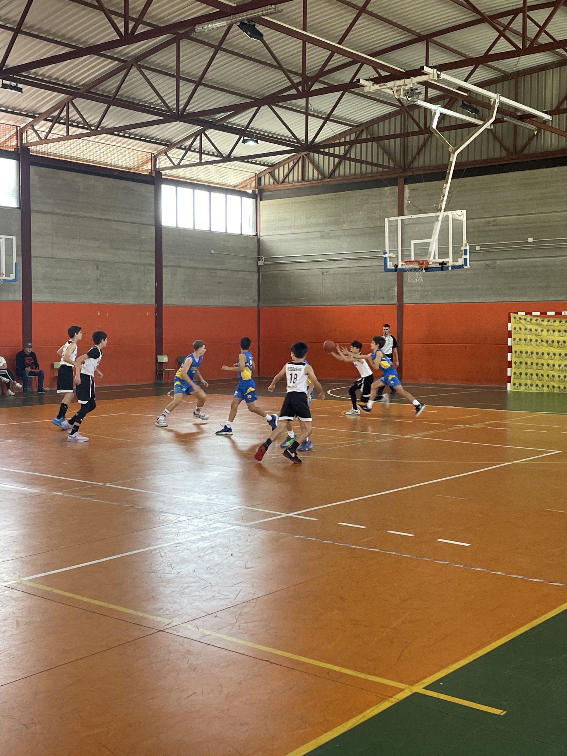 Preinfantil Teresiano Club Baloncesto Las Palmas-CD Heidelberg-11-03-2023 Preinfantil-Teresiano-Club-Baloncesto-Las-Palmas-CD-Heidelberg-11-03-2023-6