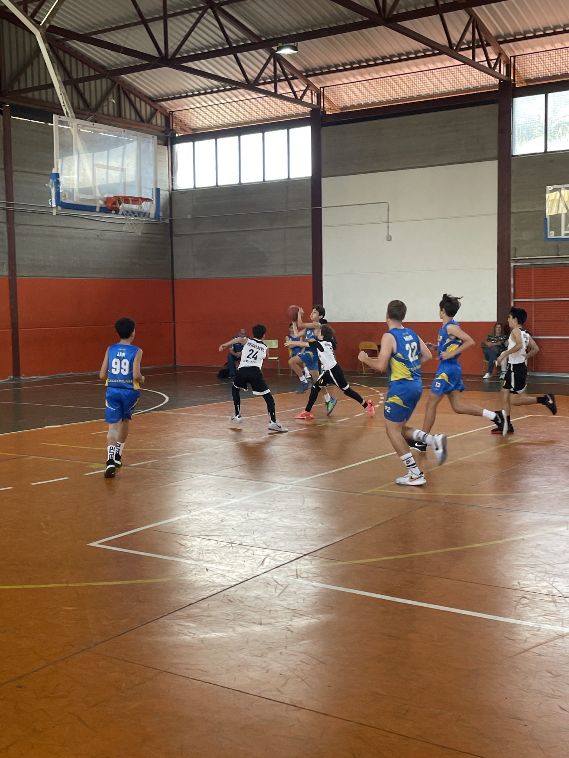 Preinfantil Teresiano Club Baloncesto Las Palmas-CD Heidelberg-11-03-2023 Preinfantil-Teresiano-Club-Baloncesto-Las-Palmas-CD-Heidelberg-11-03-2023-8