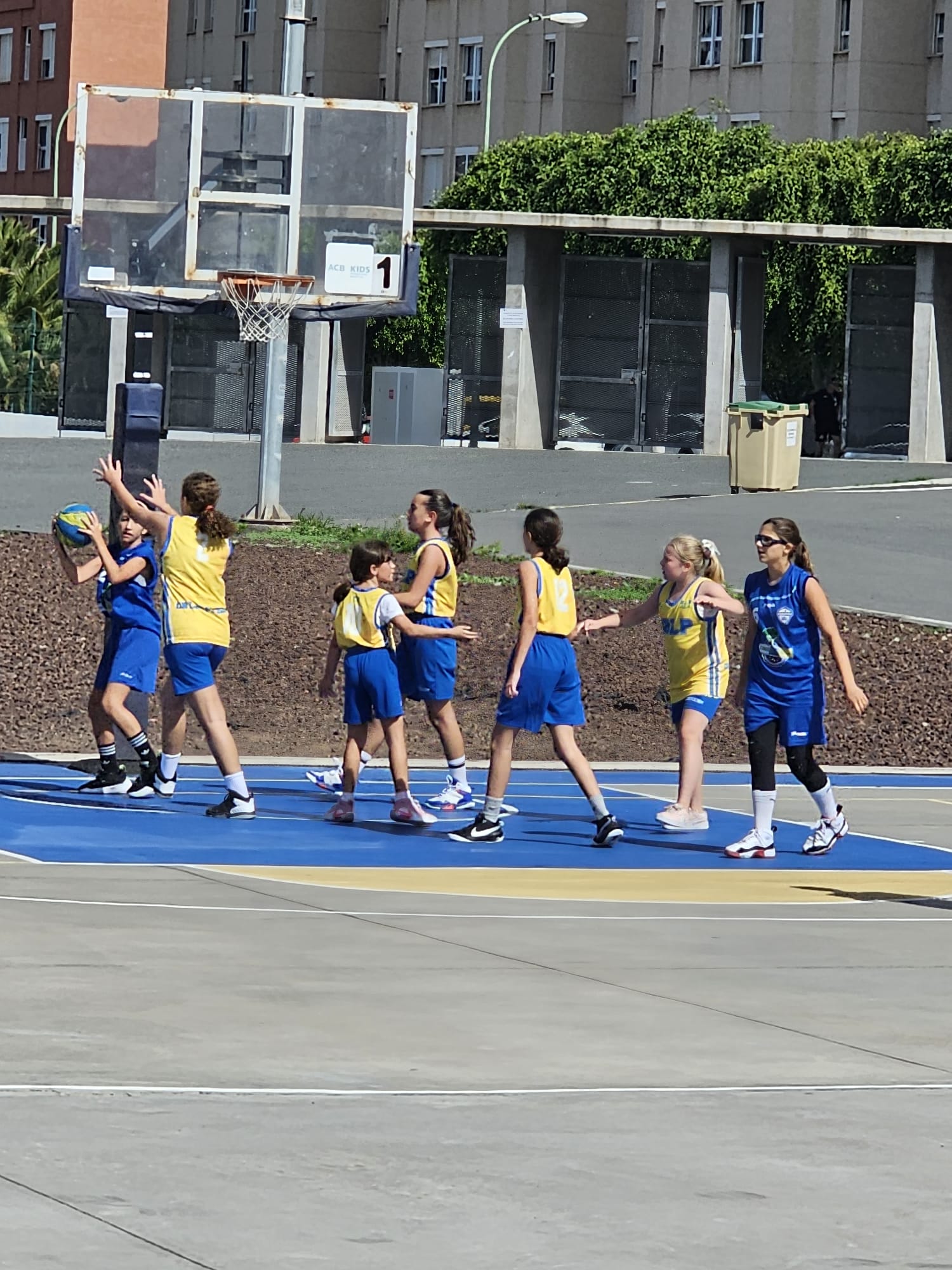 CB Telde-Mini Femenino CB Las Palmas-11-11-2023 CB-Telde-Mini-Femenino-CB-Las-Palmas-11-11-2023-8