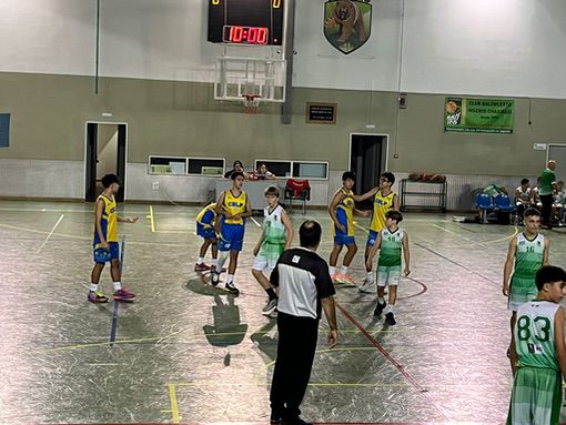 CB Ingenio-Infantil CB Las Palmas Schamann-13-01-2024 CB-Ingenio-Infantil-CB-Las-Palmas-Schamann-13-01-2024-12
