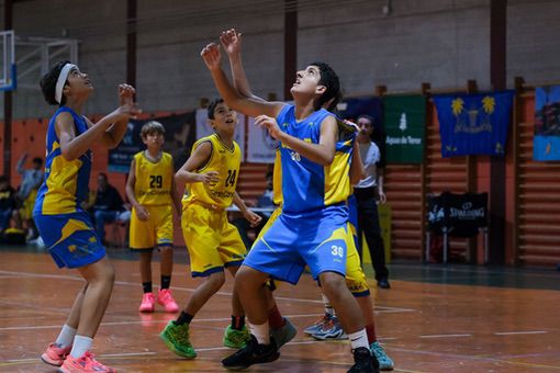 Preinfantil CB Las-Palmas-CD Claret-27-01-2024 Preinfantil-CB-Las-Palmas-CD-Claret-27-01-2024-68