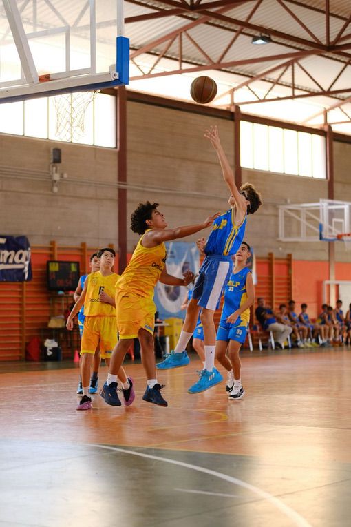 Infantil CB Las Palmas de Gran Canaria-CD Claret-23-11-2024 Infantil-CB-Las-Palmas-de Gran-Canaria-CD-Claret-23-11-2024-1