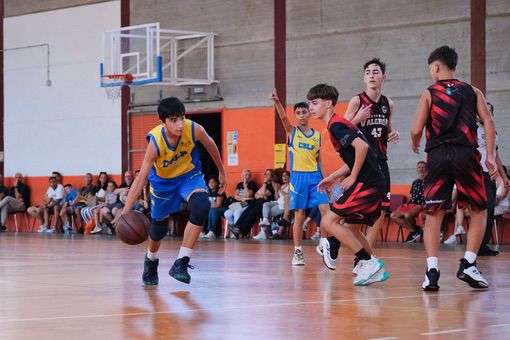Infantil CB Las Palmas | CB Cenobio Valerón Guía