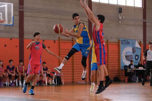 Infantil CB Las Palmas | CB Telde