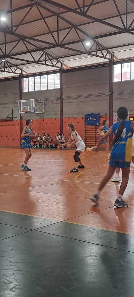 Infantil Femenino CB Las Palmas de Gran Canaria-CB Fénix Mayantigo-19-01-2025 Infantil-Femenino-CB-Las-Palmas-de-Gran-Canaria-CB-Fenix-Mayantigo-19-01-2025-15