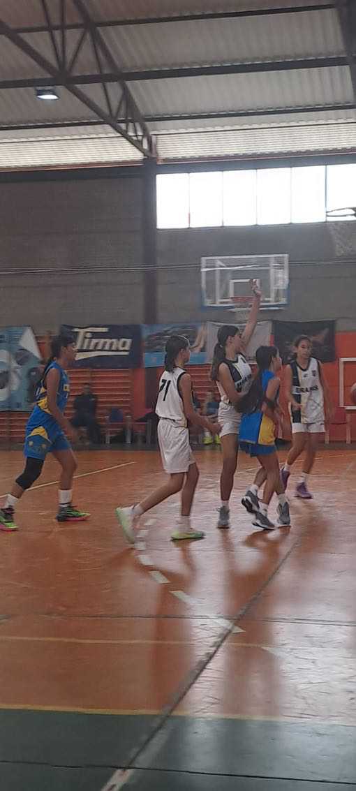 Infantil Femenino CB Las Palmas de Gran Canaria-CB Fénix Mayantigo-19-01-2025 Infantil-Femenino-CB-Las-Palmas-de-Gran-Canaria-CB-Fenix-Mayantigo-19-01-2025-19