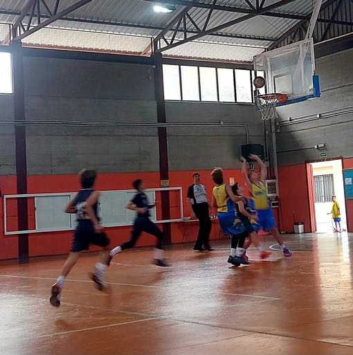 Preinfantil CB Las Palmas de Gran Canaria-CD Loyola-18-01-2025 Preinfantil-CB-Las-Palmas-de-Gran-Canaria-CD-Loyola-18-01-2025-2