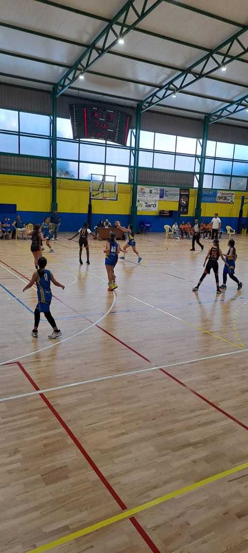 CB Santa Lucía Basket-Infantil femenino CB Las Palmas de Gran Canaria-22-02-2025 CB-Santa-Lucia-Basket-Infantil-femenino-CB-Las-Palmas-de-Gran-Canaria-22-02-2025-22