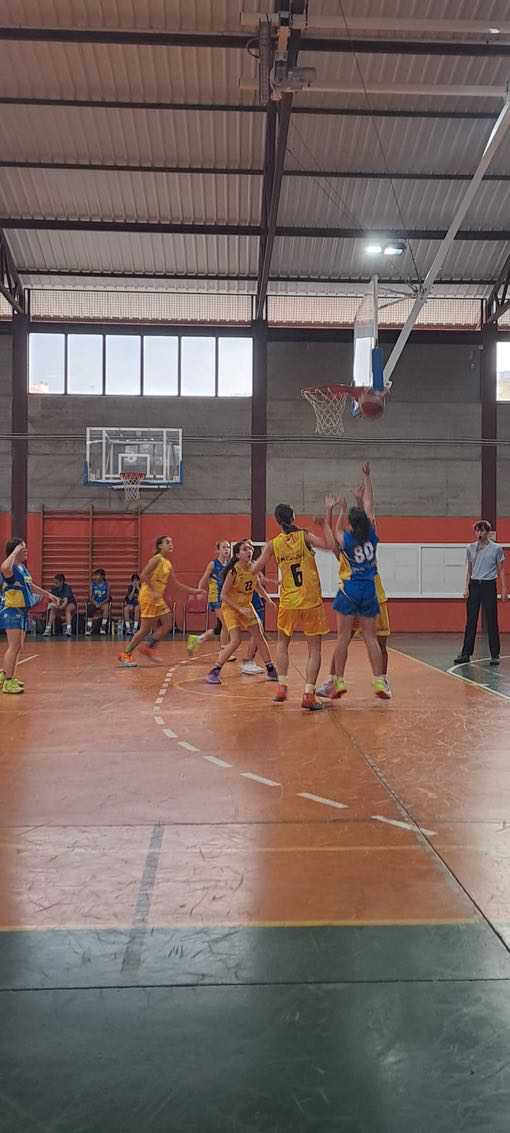 Infantil femenino CB Las Palmas de Gran Canaria-Gran Canaria-25-02-2025 Infantil-femenino-CB-Las-Palmas-de-Gran-Canaria-Gran-Canaria-25-02-2025-21