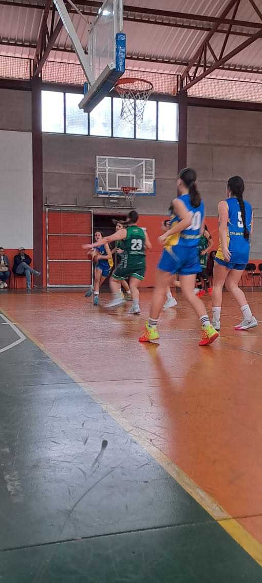 Precadete femenino CB Las Palmas de Gran Canaria-CB Ingenio-23-02-2025 Precadete-femenino-CB-Las-Palmas-de-Gran-Canaria-CB-Ingenio-23-02-2025-15