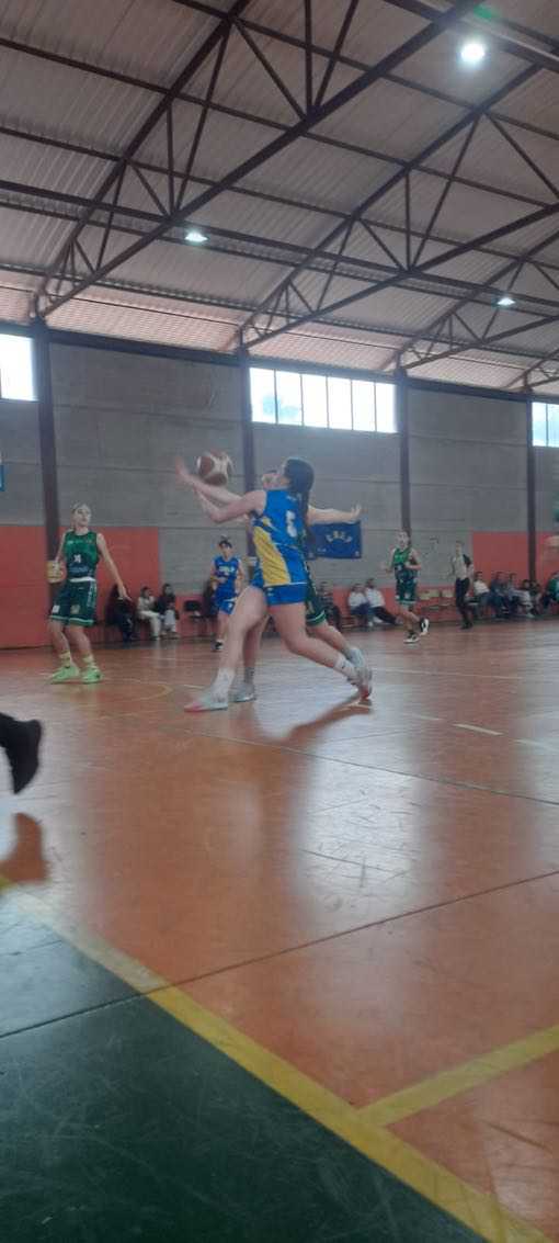 Precadete femenino CB Las Palmas de Gran Canaria-CB Ingenio-23-02-2025 Precadete-femenino-CB-Las-Palmas-de-Gran-Canaria-CB-Ingenio-23-02-2025-24