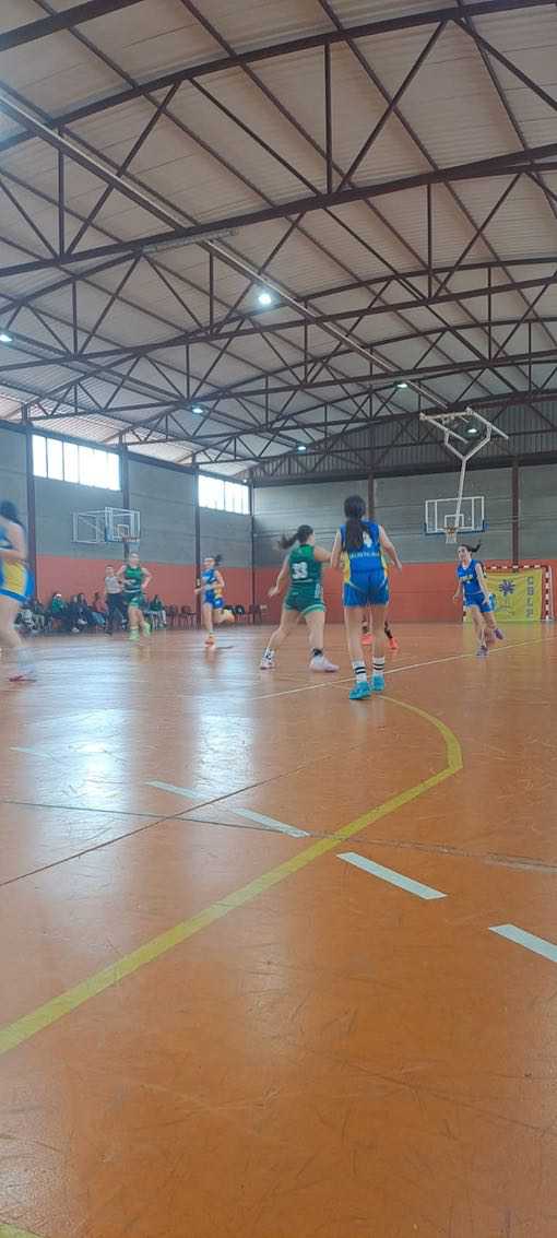 Precadete femenino CB Las Palmas de Gran Canaria-CB Ingenio-23-02-2025 Precadete-femenino-CB-Las-Palmas-de-Gran-Canaria-CB-Ingenio-23-02-2025-25