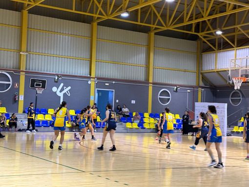 CB Castillo-Precadete femenino CB Las Palmas de Gran Canaria-26-02-2025 CB-Castillo-Precadete-femenino-CB-Las-Palmas-de-Gran-Canaria-26-02-2025-17