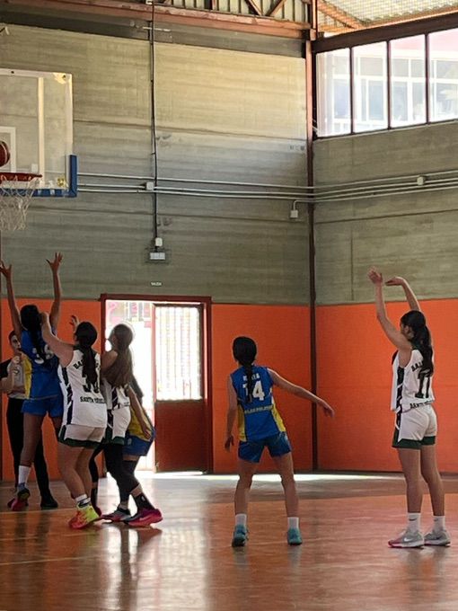 Infantil femenino CB Las Palmas de Gran Canaria-CB Santa Brígida-15-03-2025 Infantil-femenino-CB-Las-Palmas-de-Gran-Canaria-CB-Santa-Brigida-15-03-2025-51