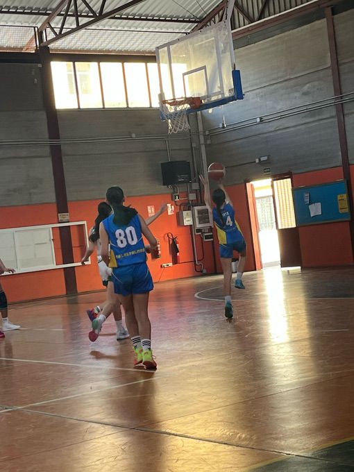 Infantil femenino CB Las Palmas de Gran Canaria-CB Santa Brígida-15-03-2025 Infantil-femenino-CB-Las-Palmas-de-Gran-Canaria-CB-Santa-Brigida-15-03-2025-79