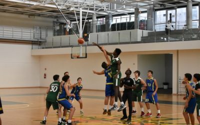 Canterbury | Cadete CB Las Palmas