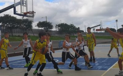 Premini CB Las Palmas | CD Heidelberg