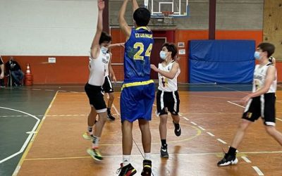 Precadete CB Las Palmas | CD Heidelberg