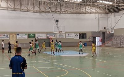 CB Ingenio | Cadete CB Las Palmas
