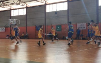 Preinfantil CB Las Palmas | CB Gran Canaria