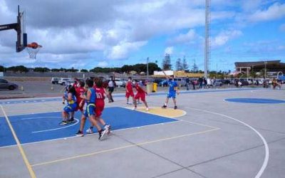 CB Basket Tara | Mini Muebles Bandama CB Las Palmas