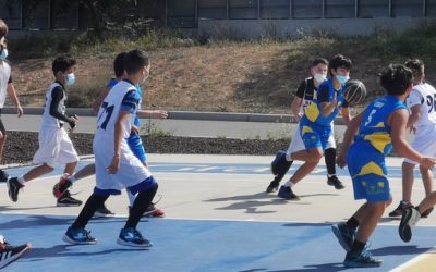 CB Fénix Mayantigo | Benjamín CB Las Palmas