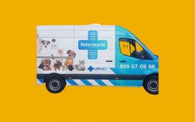 Acuerdo de colaboración con Veterinario Umivet