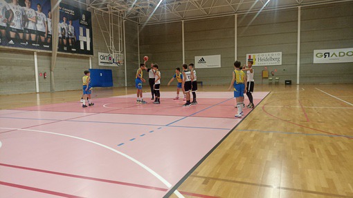 CD-Heidelberg-Preinfantil-Club-Baloncesto-Las-Palmas-Schamann