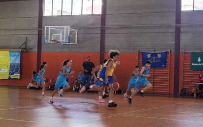 Infantil CB Las Palmas | CD Loyola