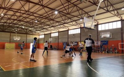 Preinfantil CB Las Palmas Teresiano | CD Heidelberg