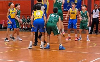 Infantil CB Las Palmas | Canterbury