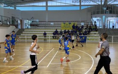 Preinfantil CB Las Palmas Teresiano| CD Heidelberg