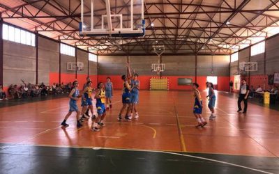 Infantil CB Las Palmas Schamann | CB Basket Tara
