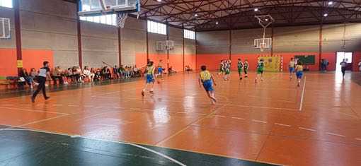 Preinfantil-CB-Las-Palmas-Teresiano-CB-Santa-Brigida-16-12-2023-4