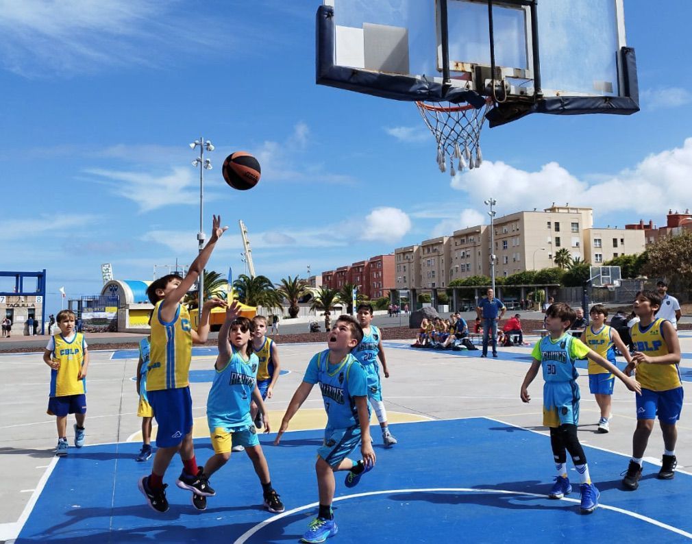 CB Aguímes-Benjamín CB Las Palmas-10-03-2024 CB-Aguimes-Benjamin-CB-Las-Palmas-10-03-2024-4