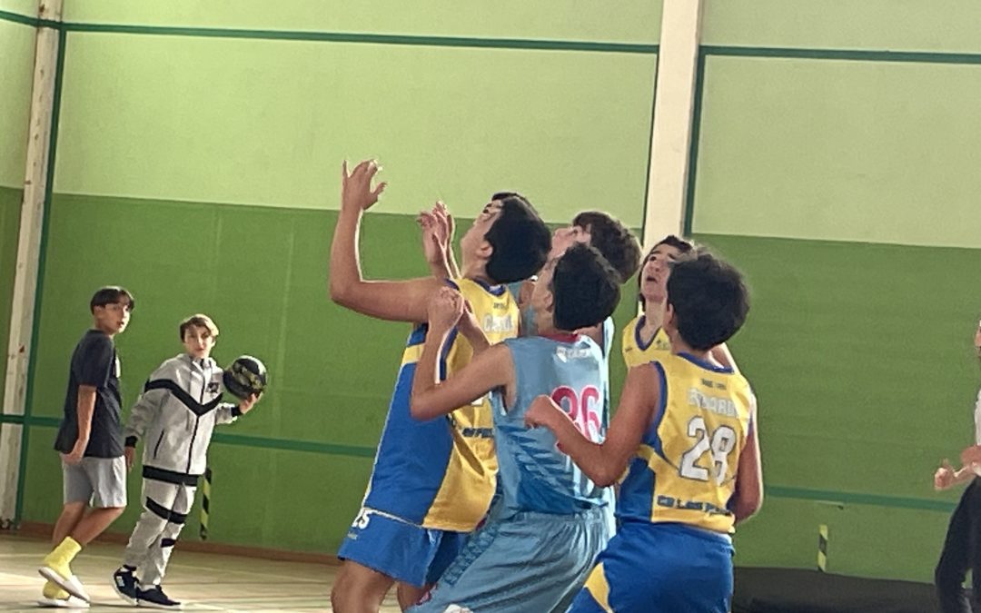 CB Basket Tara | Infantil CB Las Palmas Schamann