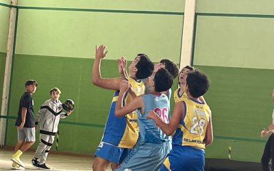CB Basket Tara | Infantil CB Las Palmas Schamann
