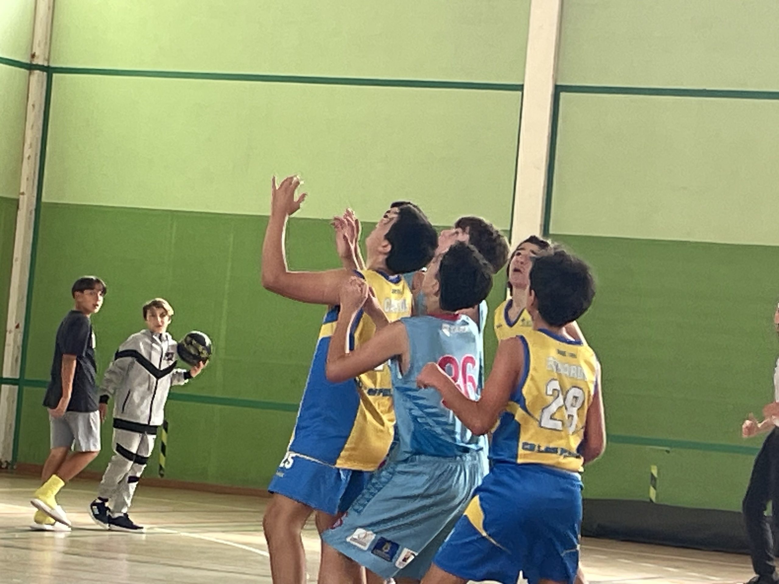 CB Basket Tara-Infantil CB Las Palmas Schamann-03-03-2024 CB-Basket-Tara-Infantil-CB-Las-Palmas-Schamann-03-03-2024-32