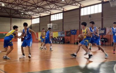 Precadete CB Las Palmas | CD Claret
