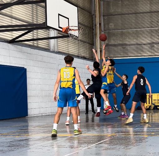 CD Loyola | Infantil CB Las Palmas Schamann