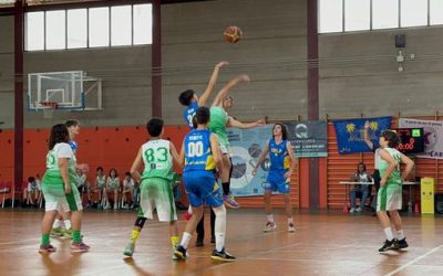 Infantil CB Las Palmas Schamann | CB Ingenio