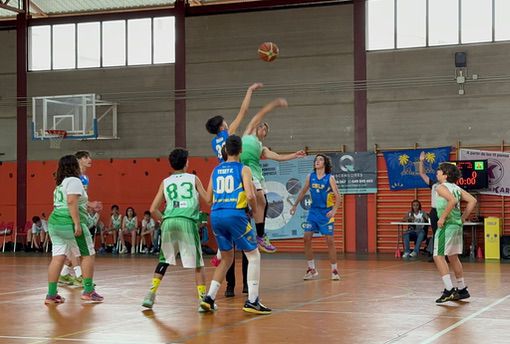 Infantil-CB-Las-Palmas-Schamann-CB-Ingenio-06-04-2024-3